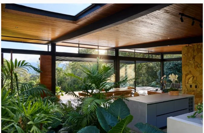 Interior con vegetación y cocina abierta